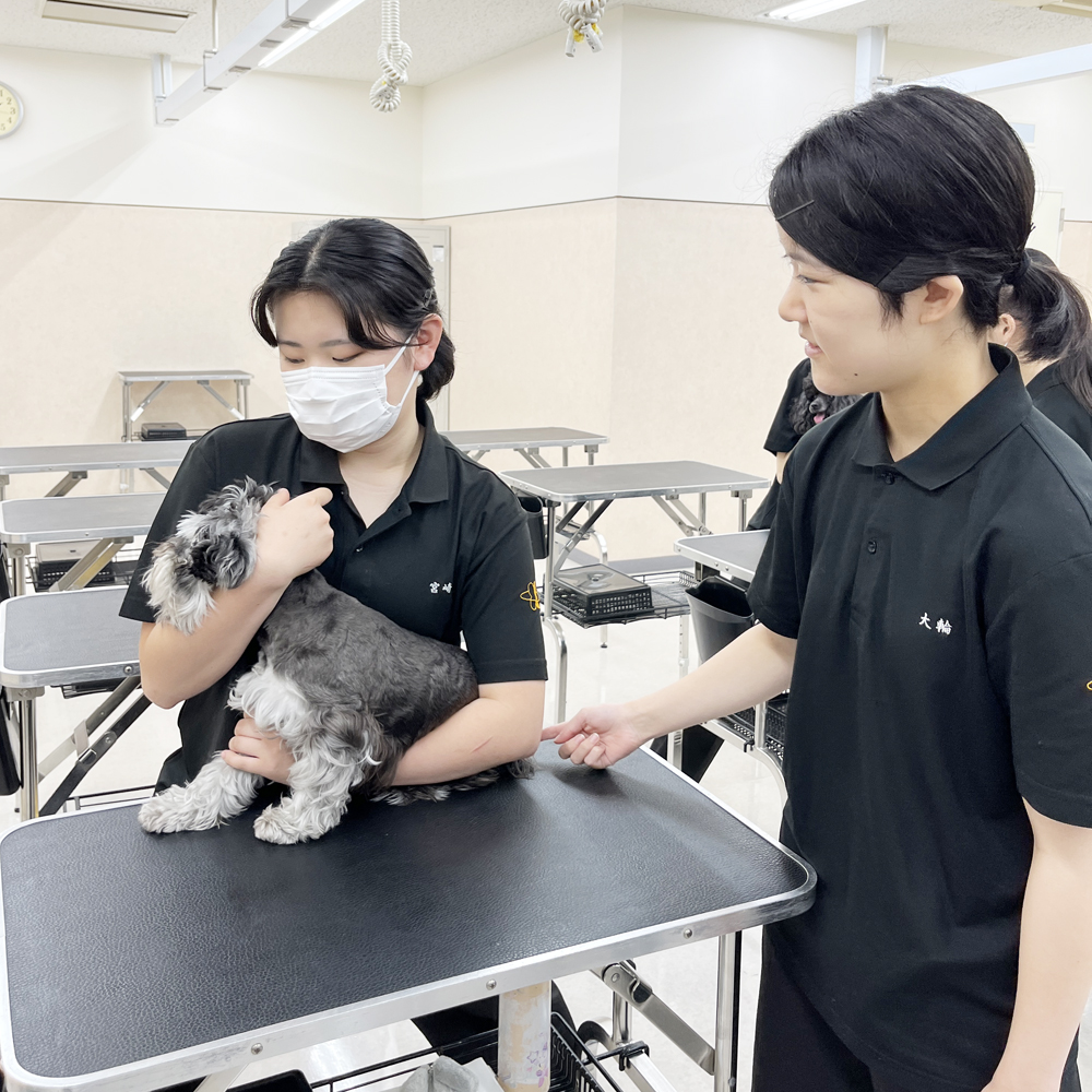 ２年生の看護実習